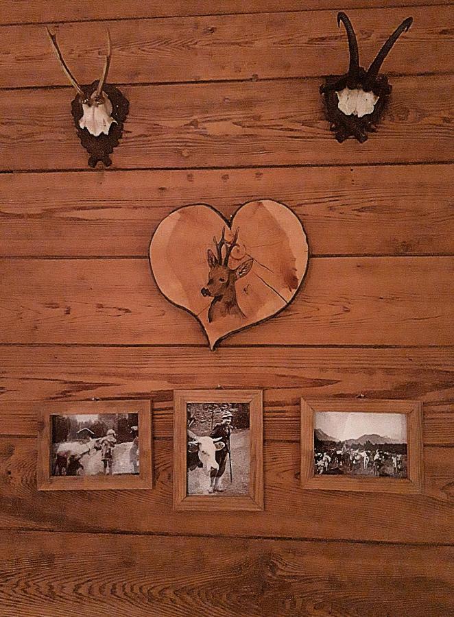 Hôtel Berggasthof Karntner Alm à Mittenwald Extérieur photo